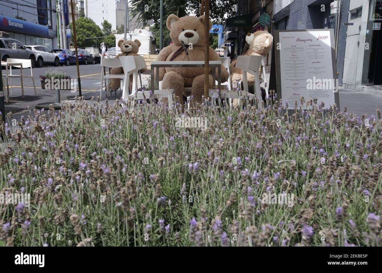 Giant teddy bear mexico cheap