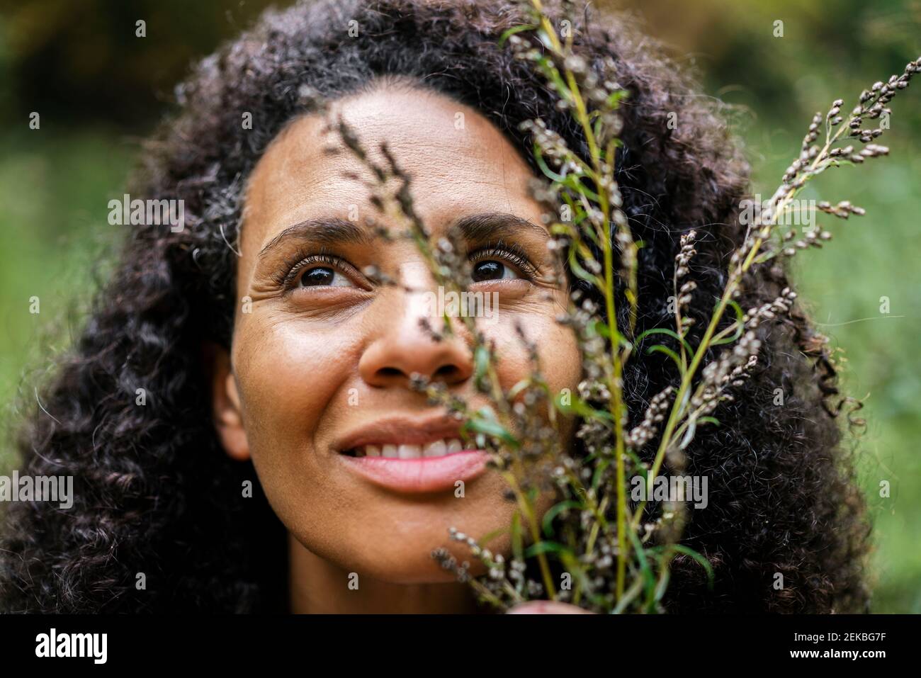 Smiling woman holding plant while standing in forest Stock Photo