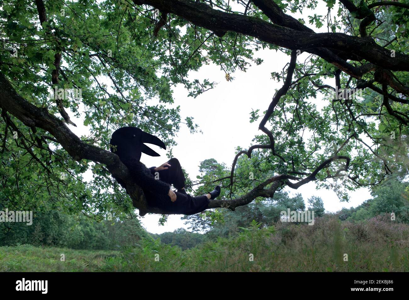 Woman in bird costume lying on tree branch Stock Photo