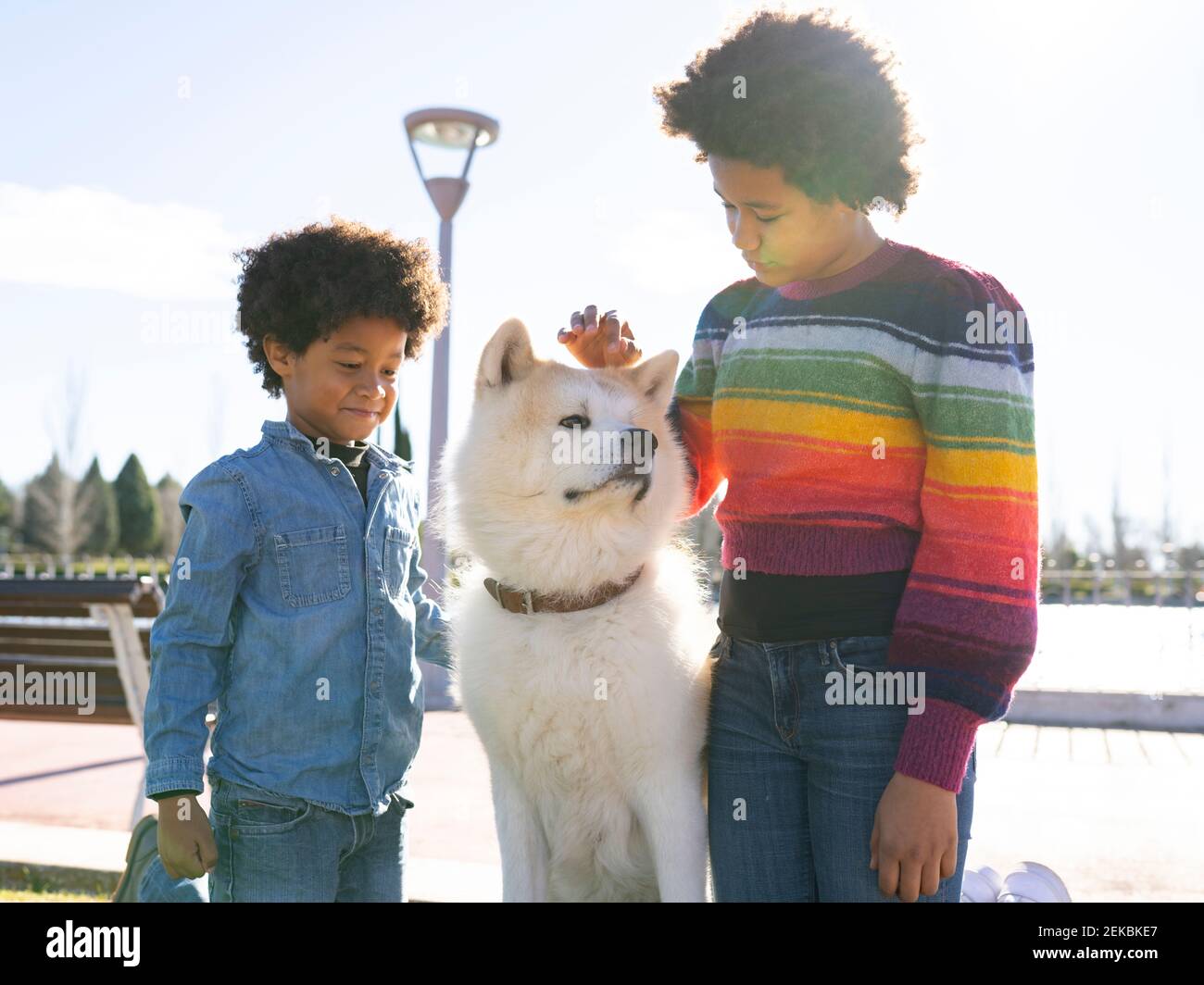 Sibling playing with dog while standing at park Stock Photo