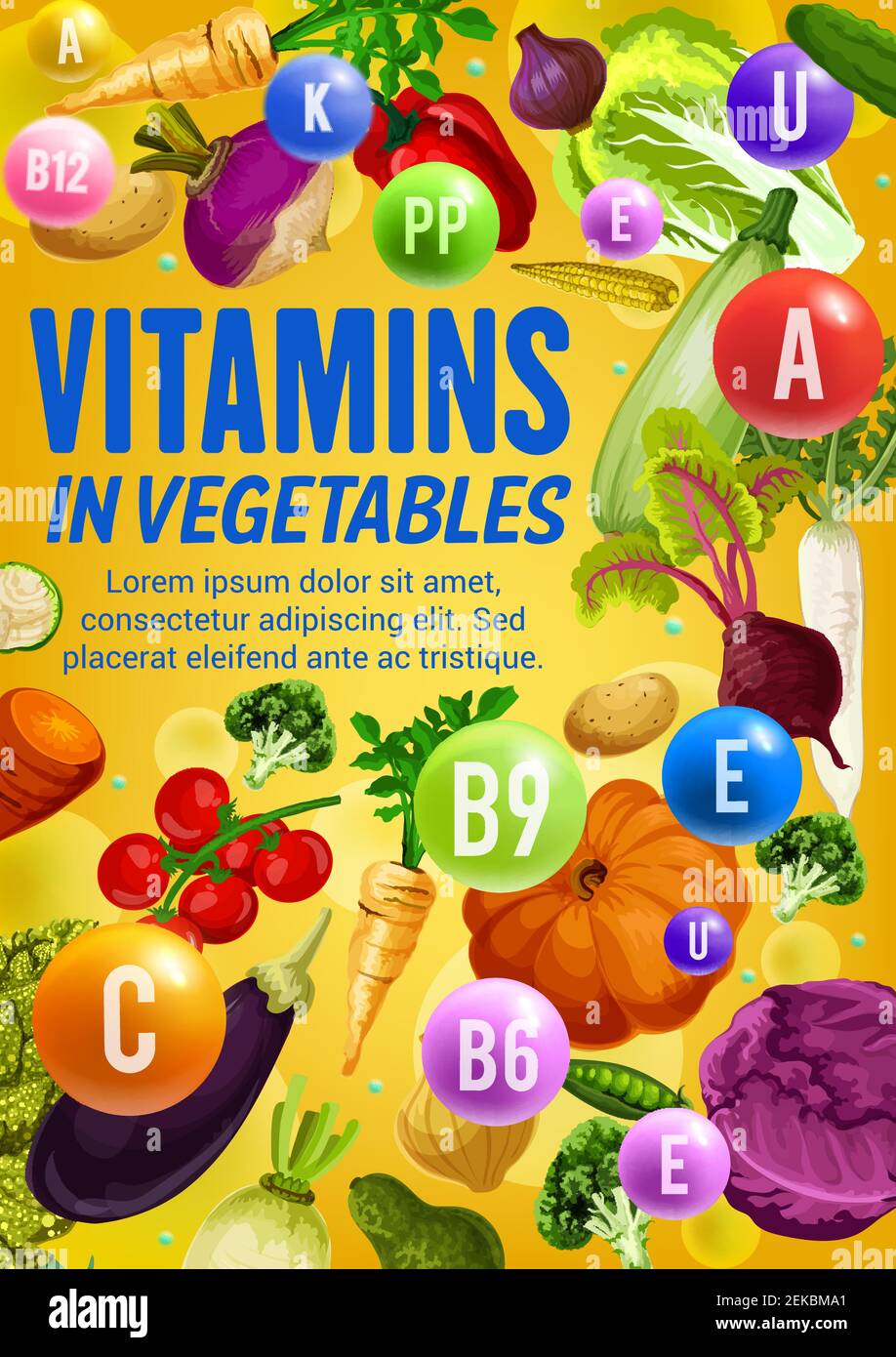 Vitamins and minerals in fresh vegetables and beans vector poster
