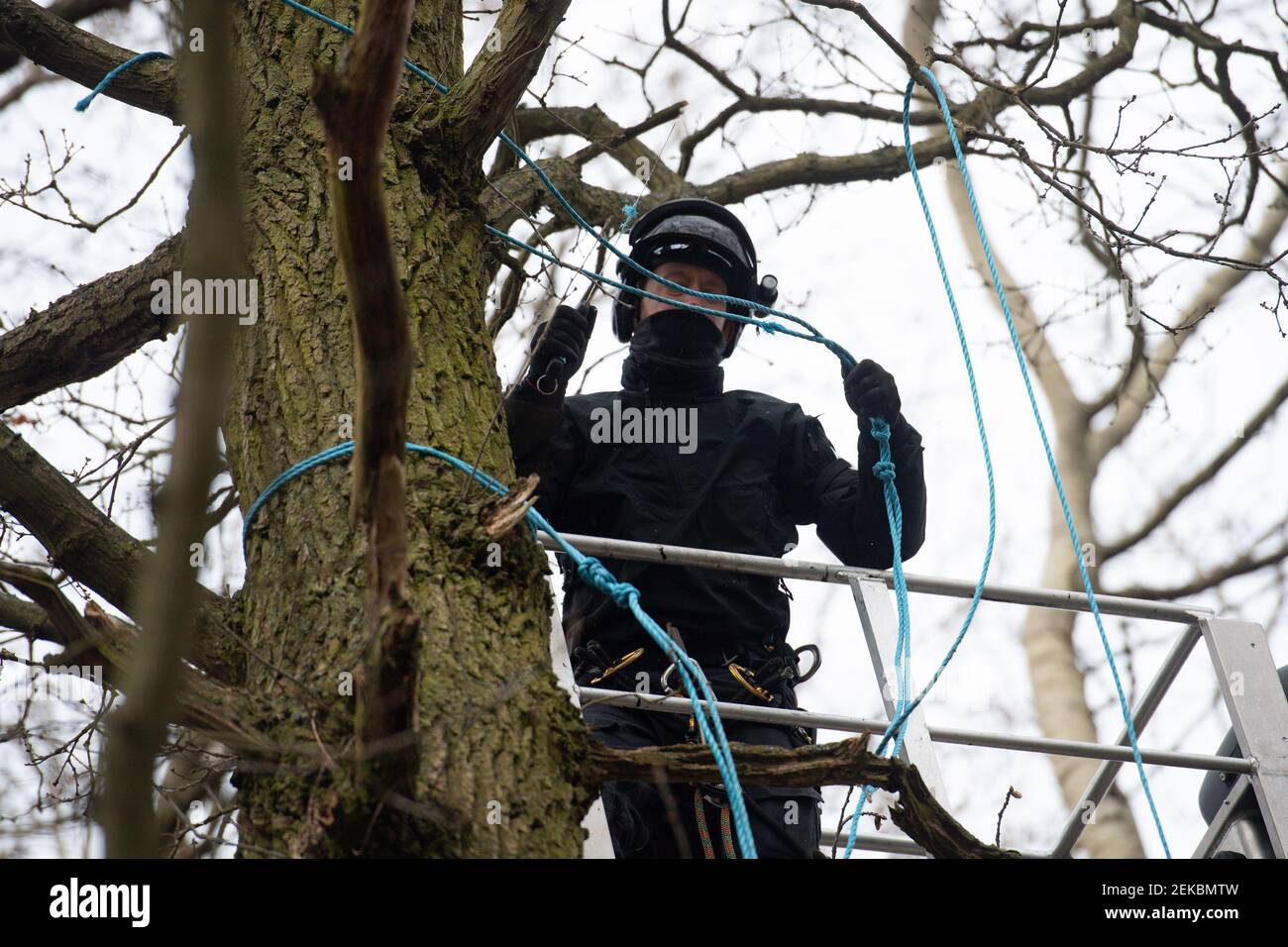 A police officer cuts ropes connecting treehouses occupied by anti-HS2 protesters, at an encampment in the ancient woodland at Poor's Piece Wood on the edge of Steeple Claydon in Buckinghamshire. Picture date: Tuesday February 23, 2021. Stock Photo