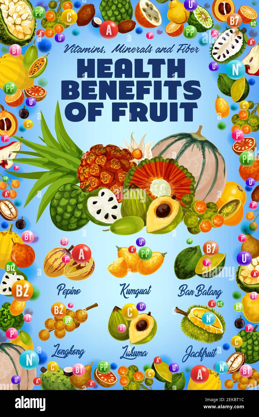 Vitamins in exotic tropical fruits harvest, healthy organic food. Vector multivitamins and minerals in tropic pepino, kumquat or ban balang and longko Stock Vector