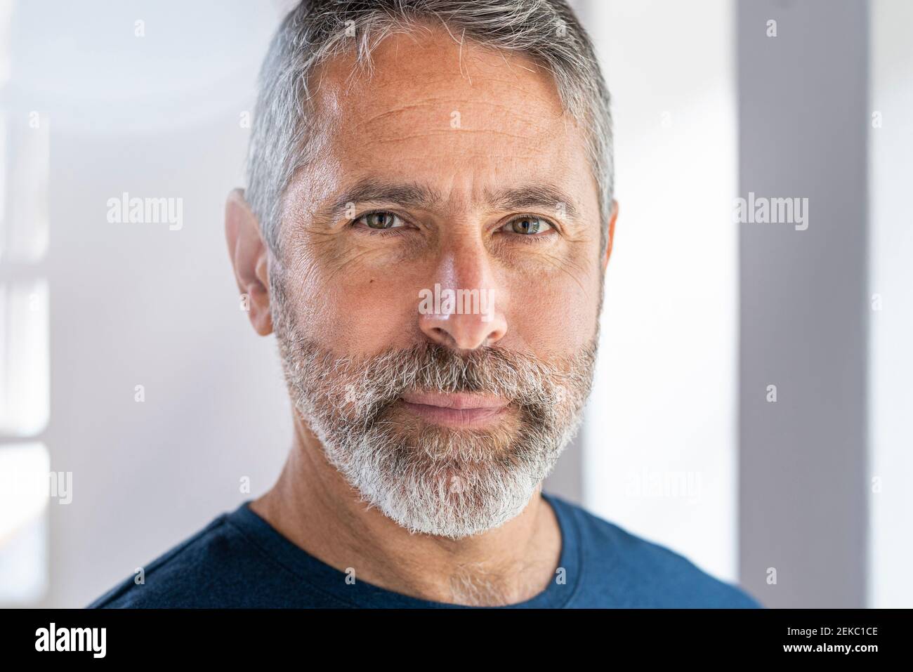 Portrait of mature grey haired man Stock Photo