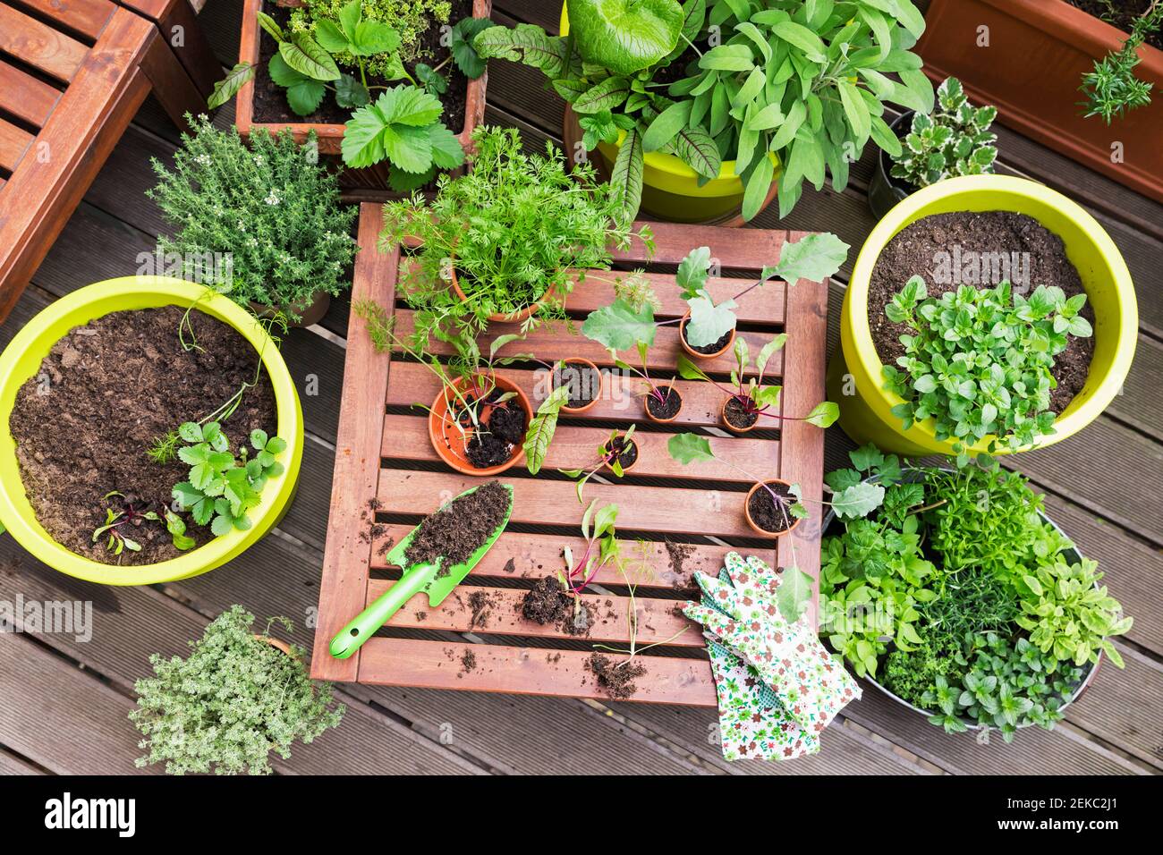 Herbs gardening tools hi-res stock photography and images - Alamy