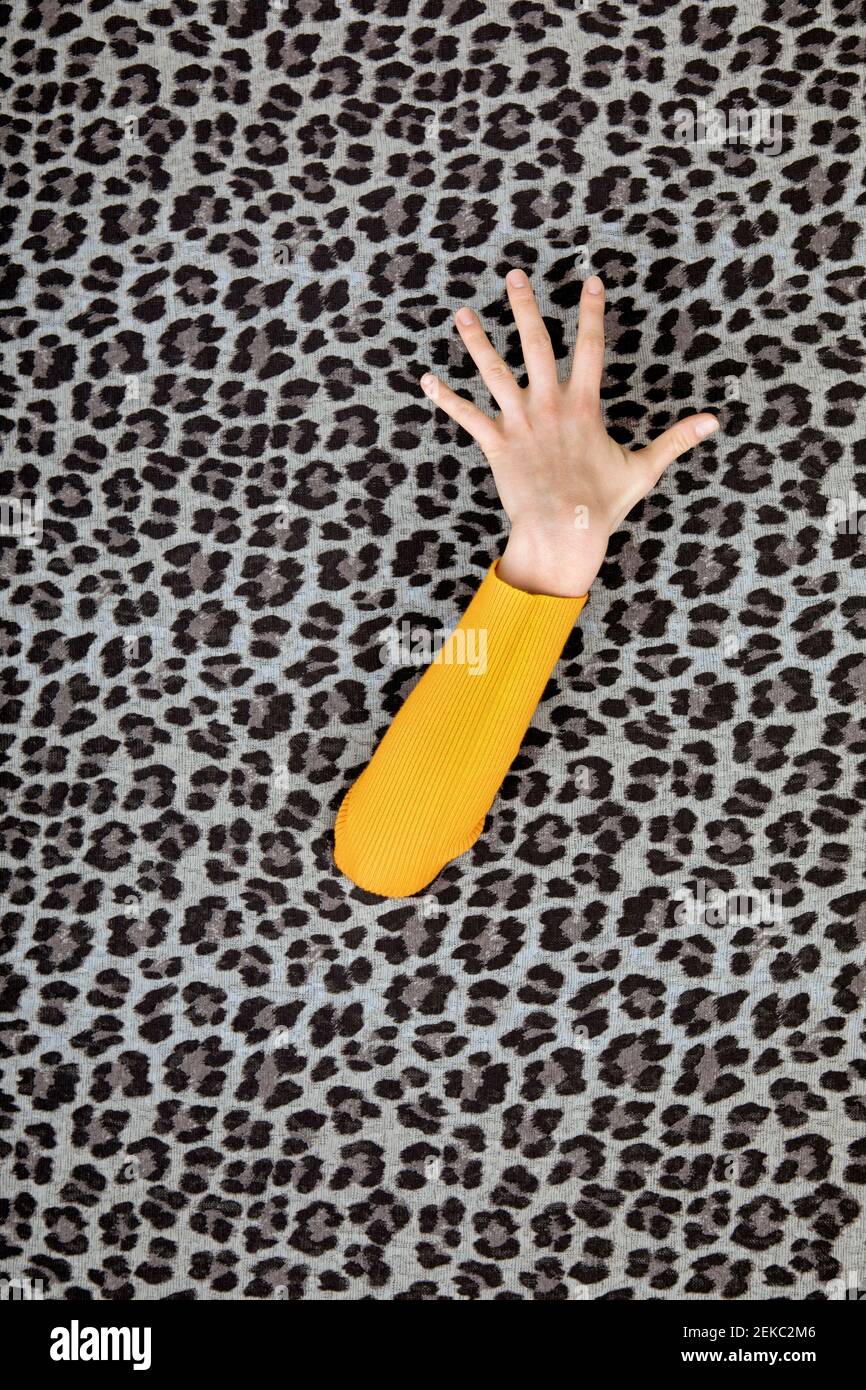 Hand of teenage girl coming out of leopard print pattern Stock Photo
