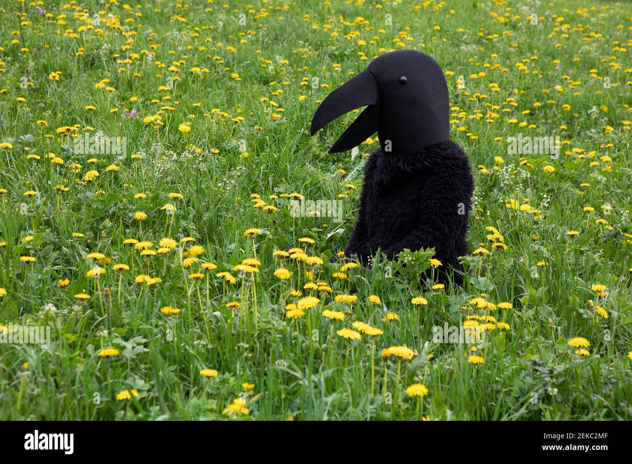 Female in crow costume looking at meadow Stock Photo