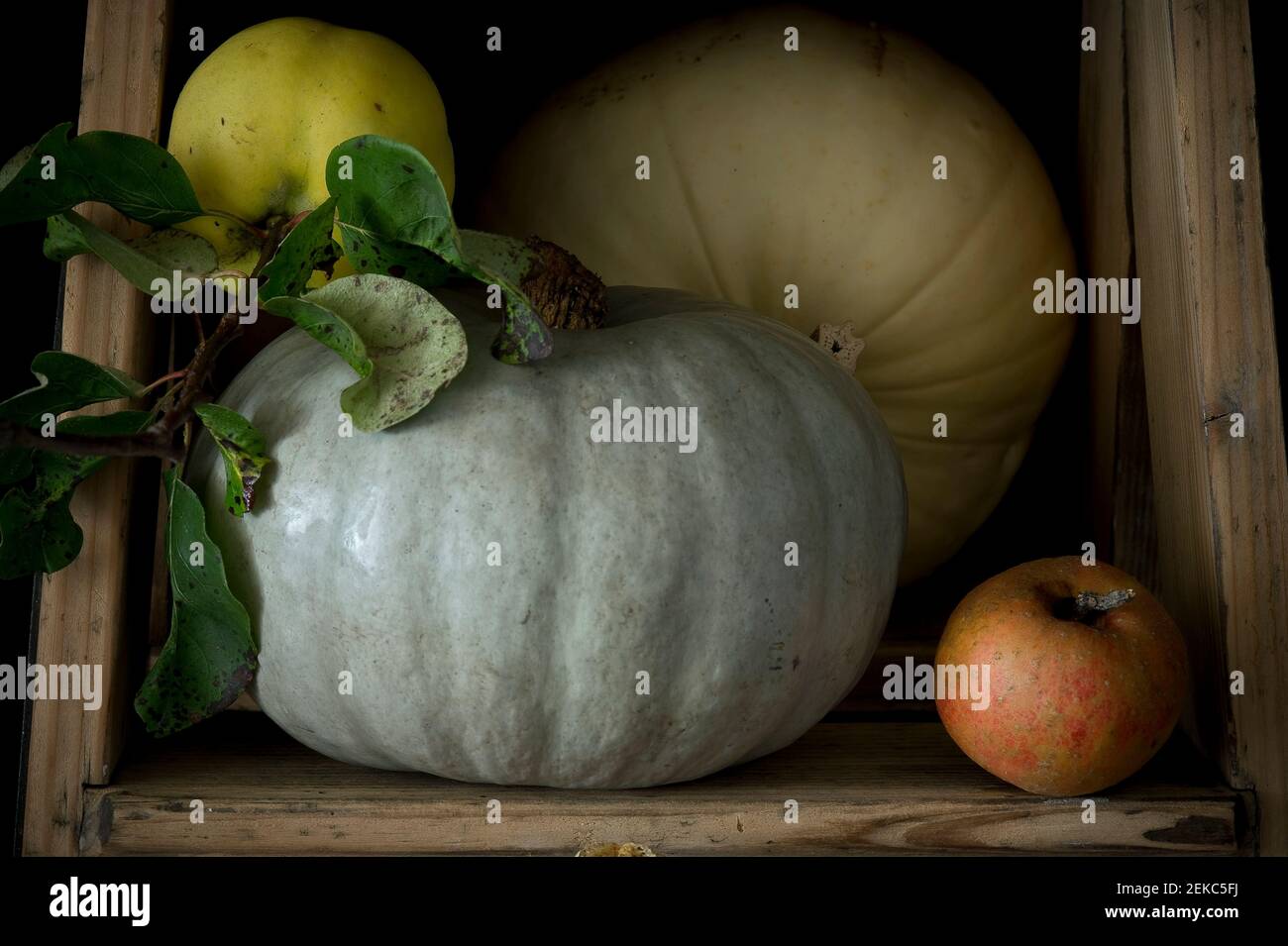 Still life of Fresh ripe apple, quince and crown prince squashes Stock Photo