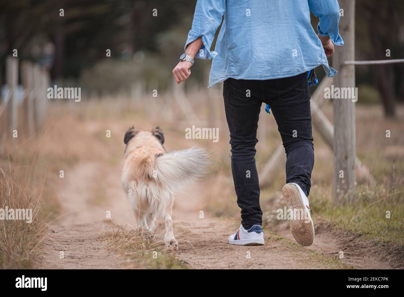 Man walking with dog on dirt road Stock Photo