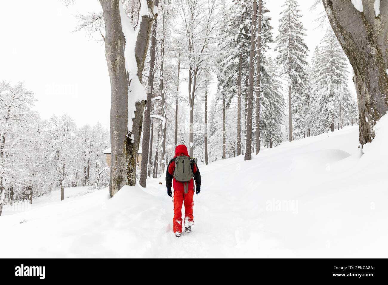 Walk In Deep Snow Person walking in deep snow hi-res stock photography and images - Alamy