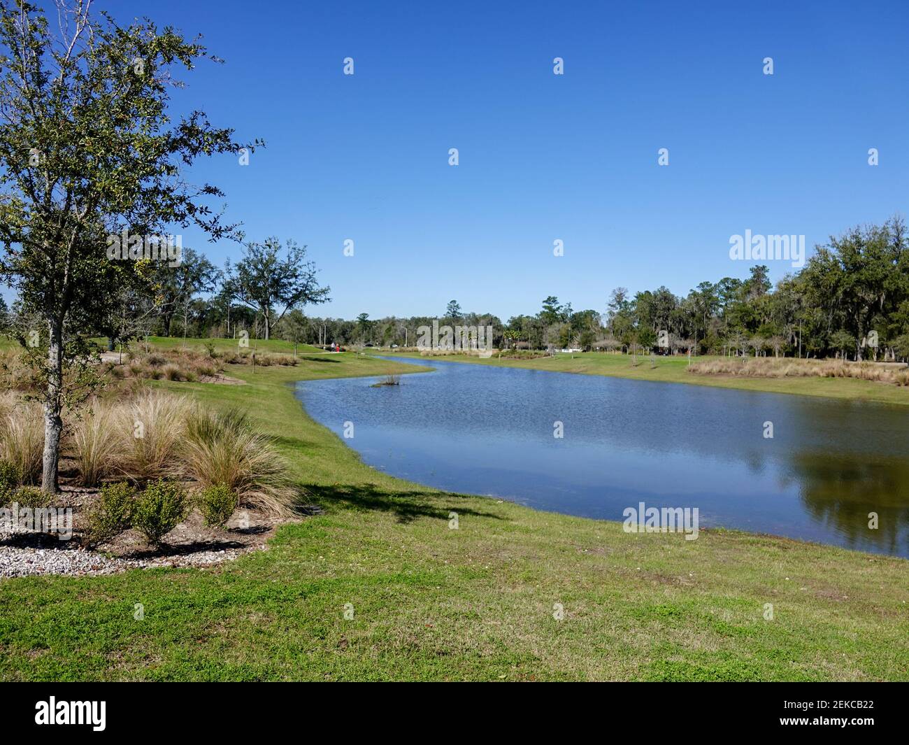 Retention pond for surface water drainage creates a pleasant