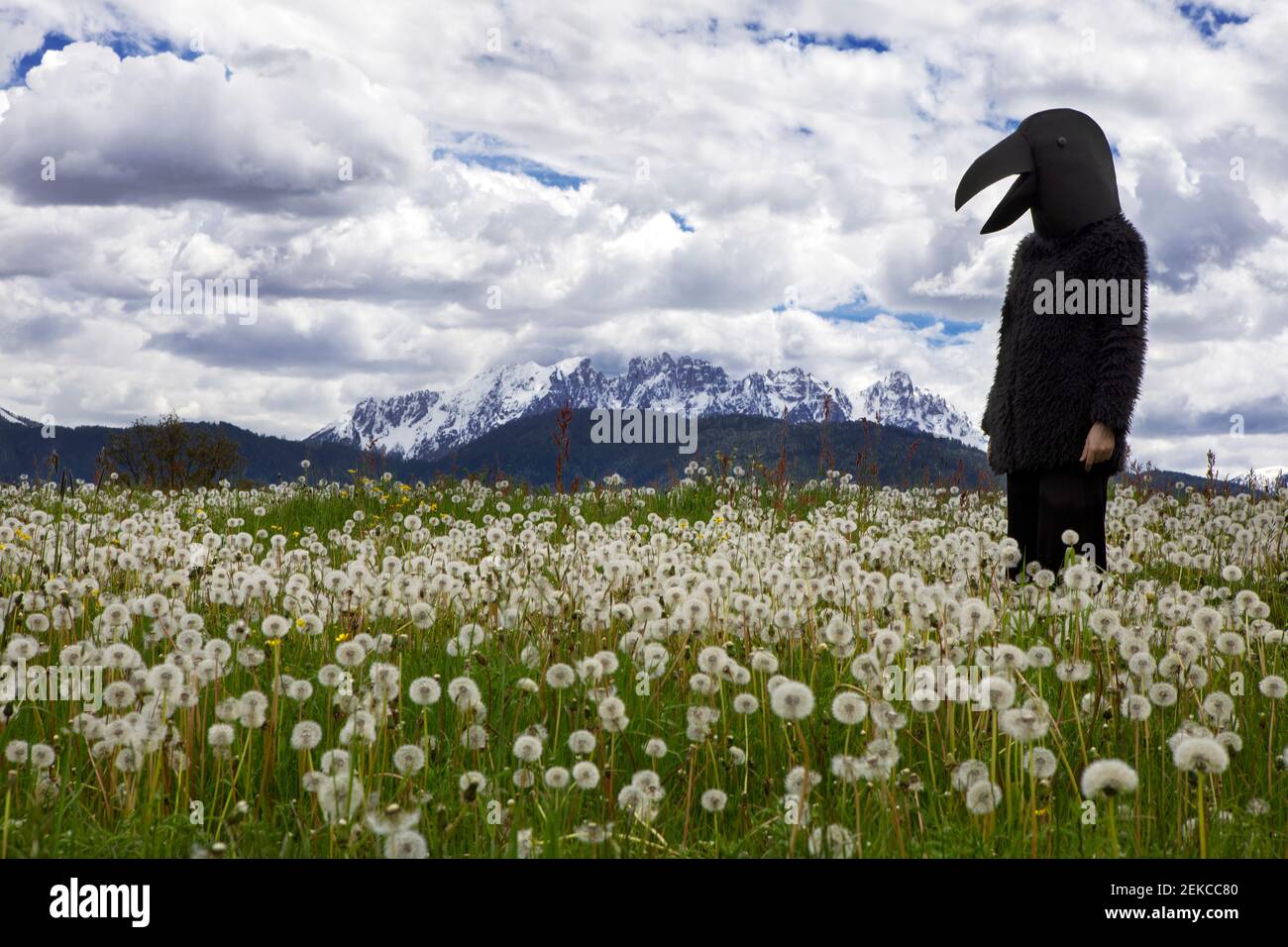 Female wearing crow costume standing in meadow against sky Stock Photo