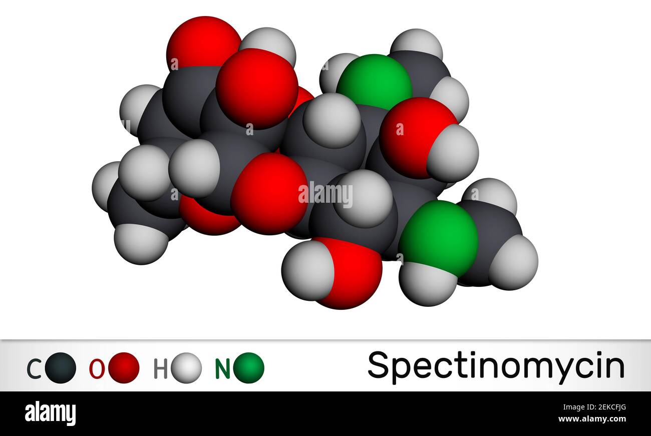 Spectinomycin molecule. It is pyranobenzodioxin , aminocyclitol aminoglycoside antibiotic. Used for the treatment of gonorrhea. Molecular model. 3D re Stock Photo