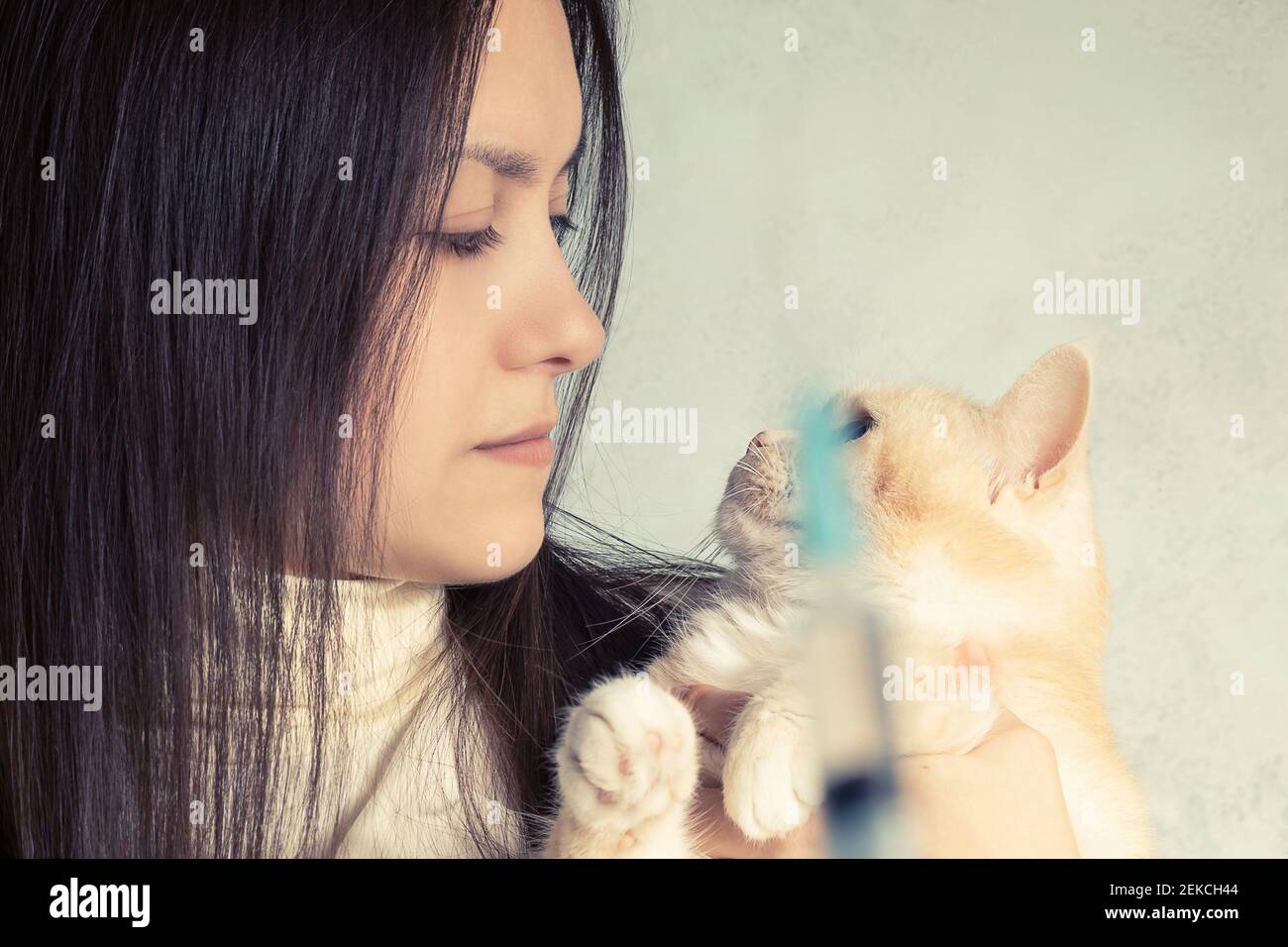 A young girl with a cute cream cat at the vet is preparing to be vaccinated Stock Photo