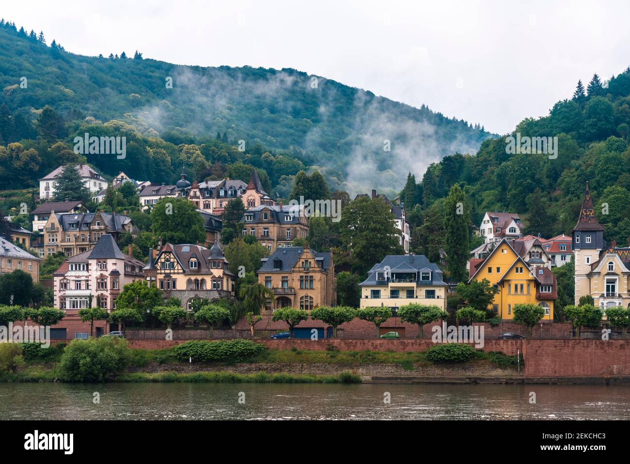 Germany, Baden-Wurttemberg, Heidelberg, Riverside houses in Neuenheim ...