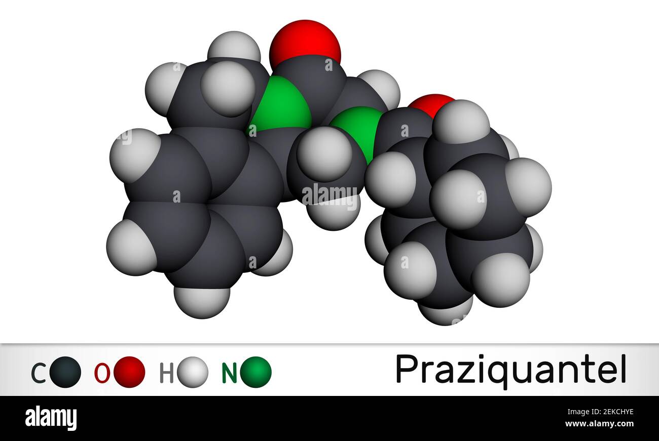 Praziquantel, PZQ, molecule. It is anthelmintic drug for treatment cysticercosis, schistosome, cestode and trematode infestations. Molecular model. 3D Stock Photo