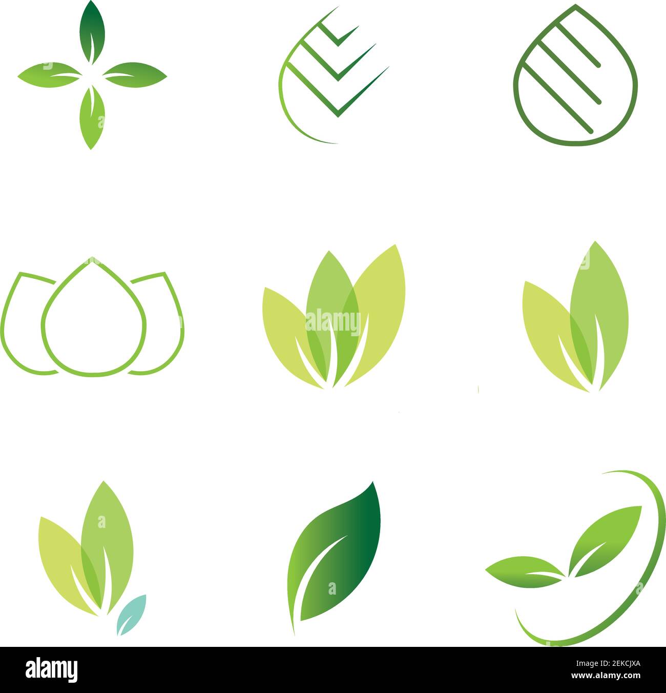 Green Leaf Background Vector Art, Icons, and Graphics for Free