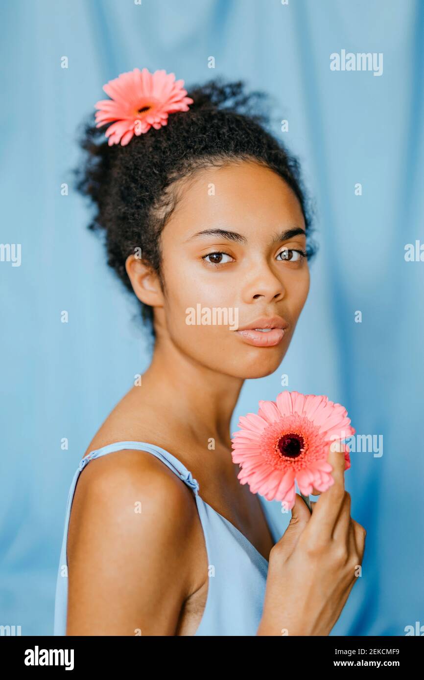 Gerbera daisy side view hi-res stock photography and images - Alamy Gerbera daisy side view hi-res stock photography and images - Alamy