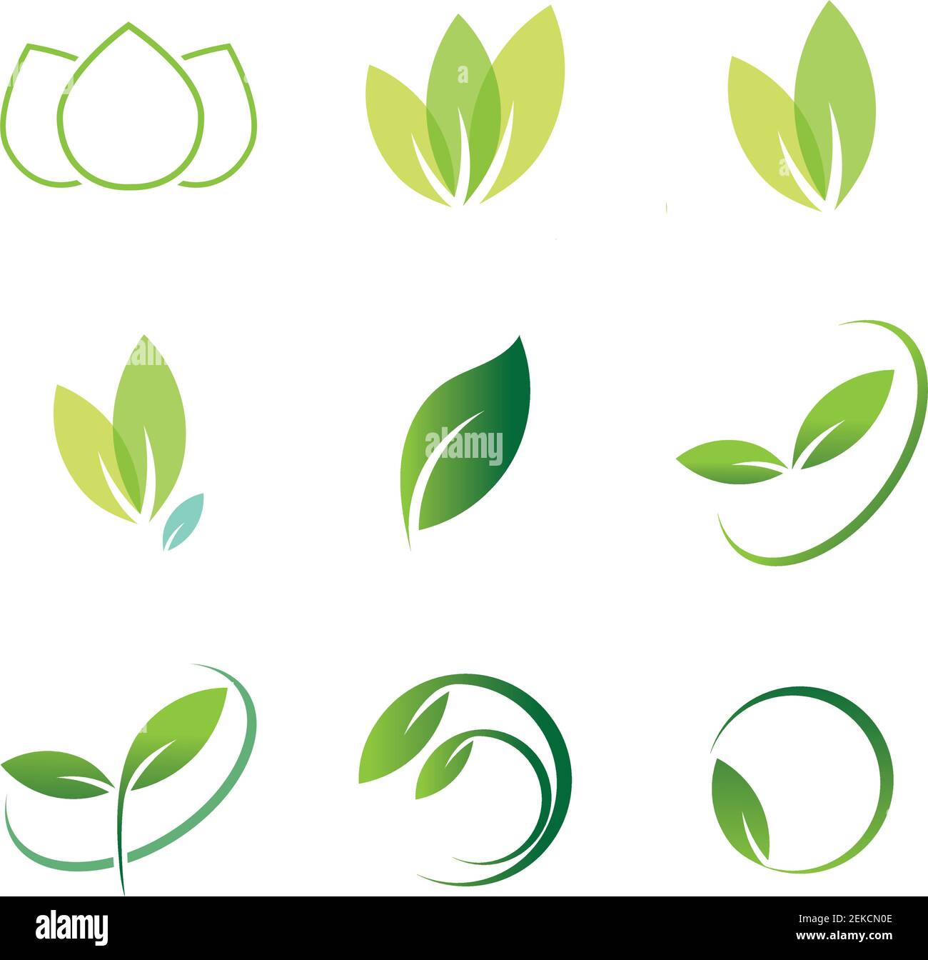 Leaves icon vector set isolated on white background. Various shapes of ...