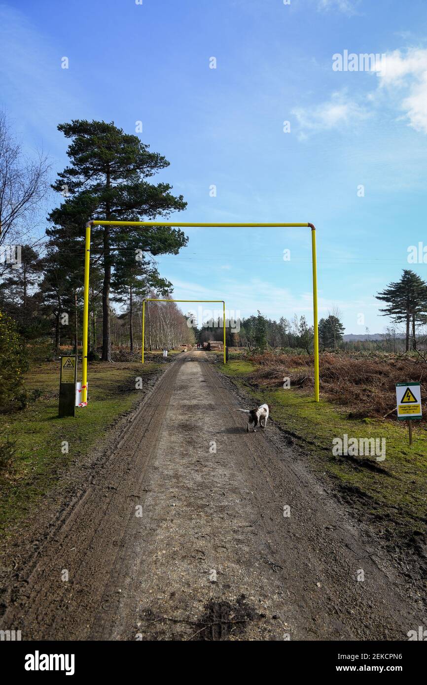 Electric lines overhead protection frame for mechanical equipment working on site of  forest clearing and tree felling area in the New Forest. Stock Photo