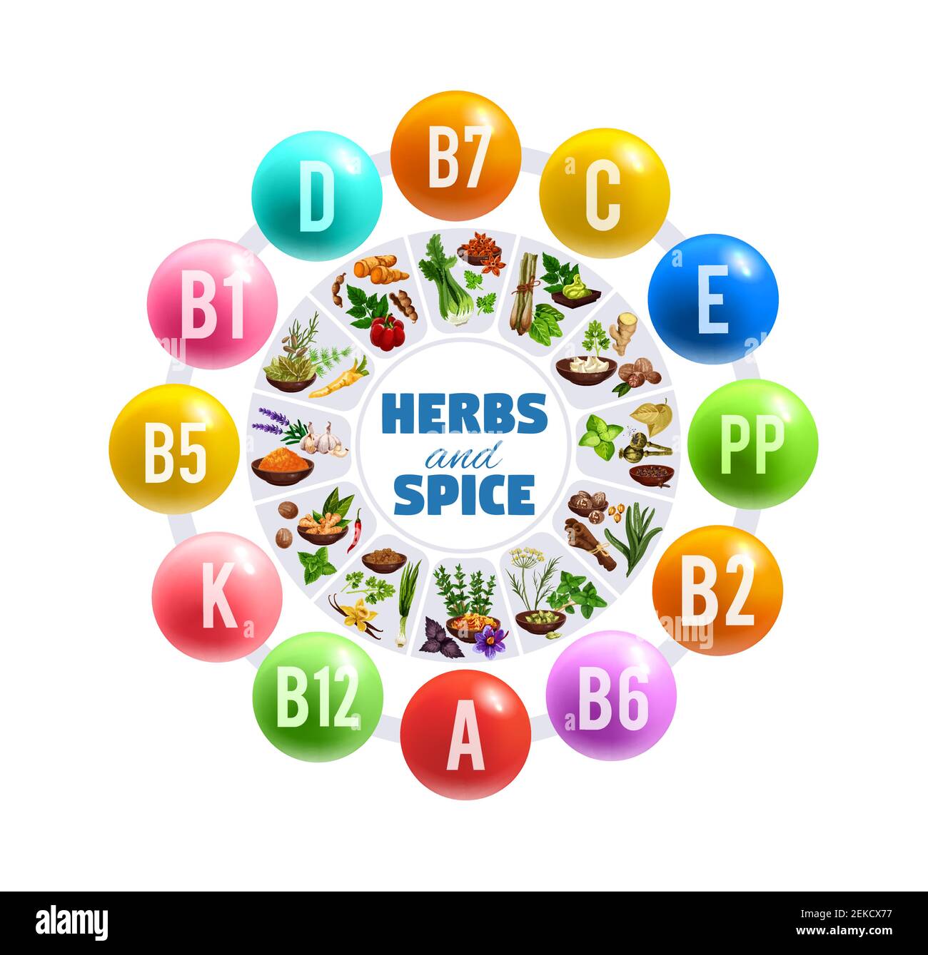 Vitamins and minerals in fresh herbs and spices vector round chart