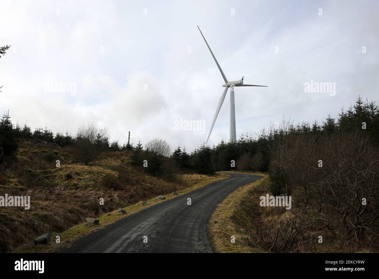 Hadyard Hill Wind Farm, nr Barr, South Ayrshire Scotland, UK The wind