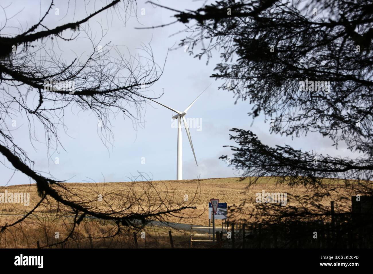 Hadyard Hill Wind Farm, nr Barr, South Ayrshire Scotland, UK The wind