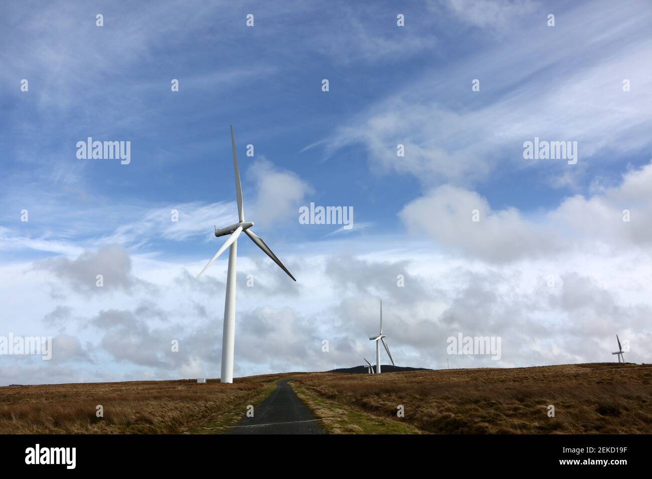 Hadyard Hill Wind Farm, nr Barr, South Ayrshire Scotland, UK The wind
