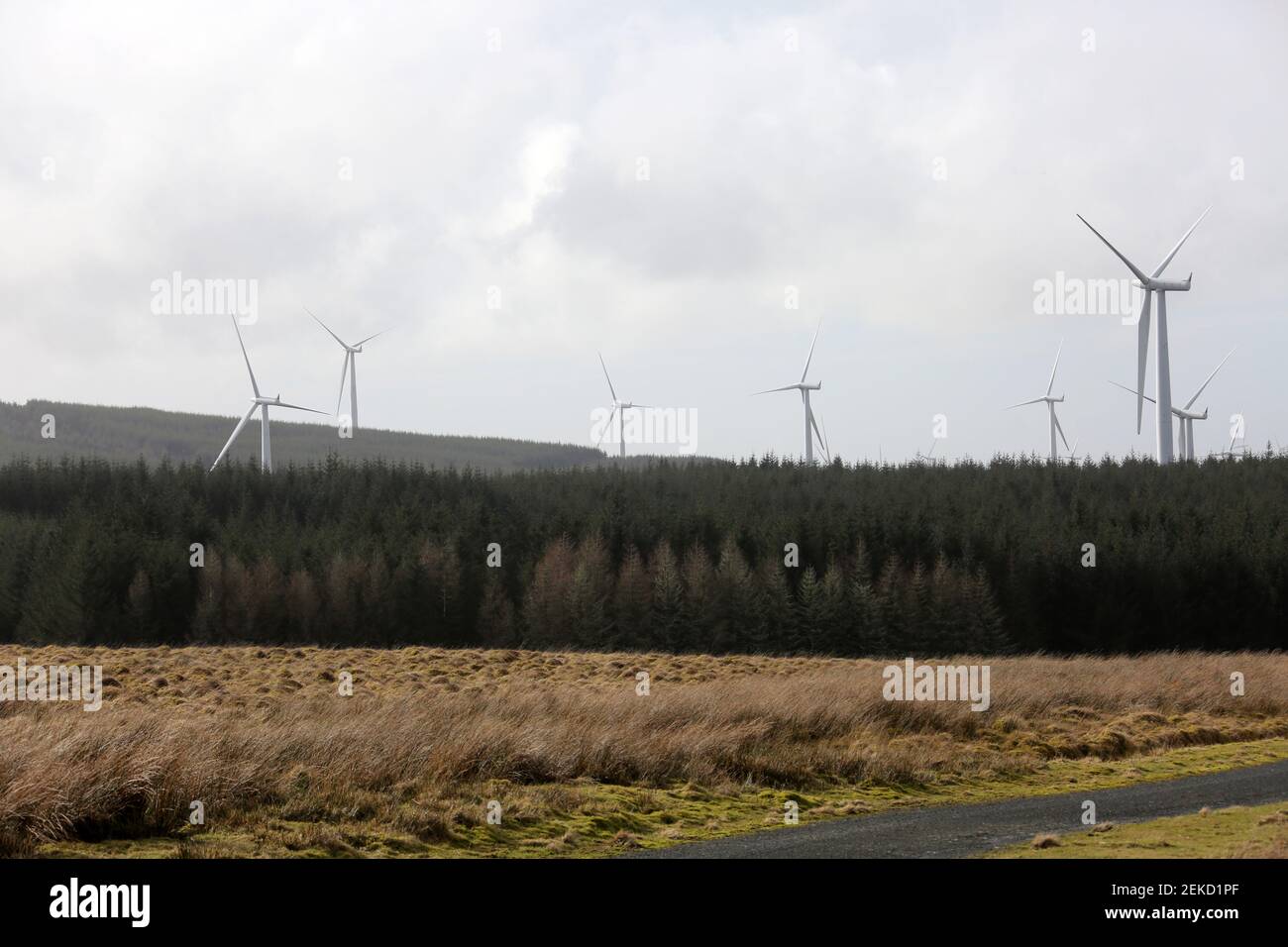 Hadyard Hill Wind Farm, nr Barr, South Ayrshire Scotland, UK The wind
