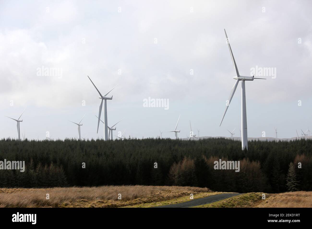 Hadyard Hill Wind Farm, nr Barr, South Ayrshire Scotland, UK The wind