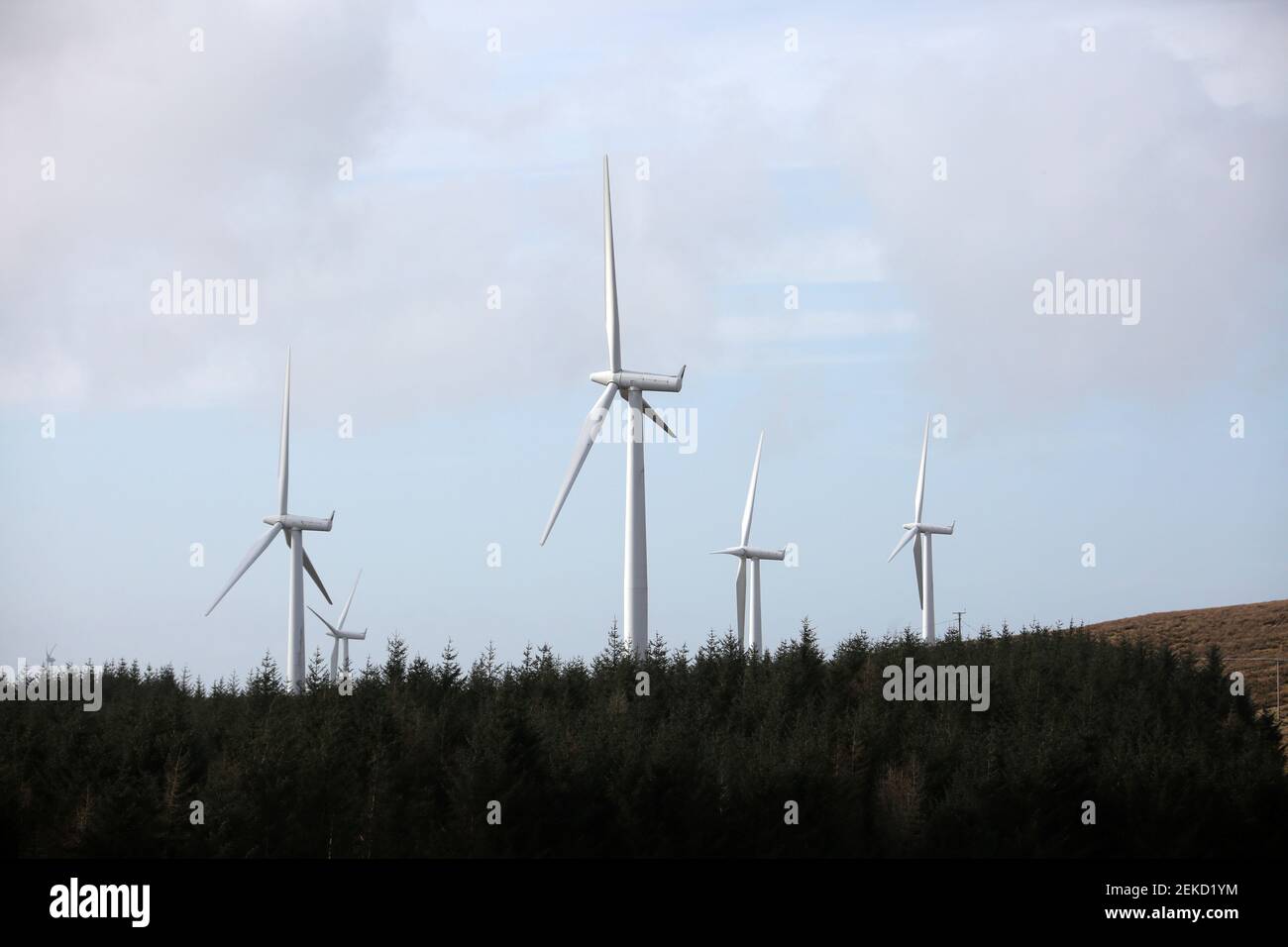 Hadyard Hill Wind Farm, nr Barr, South Ayrshire Scotland, UK The wind