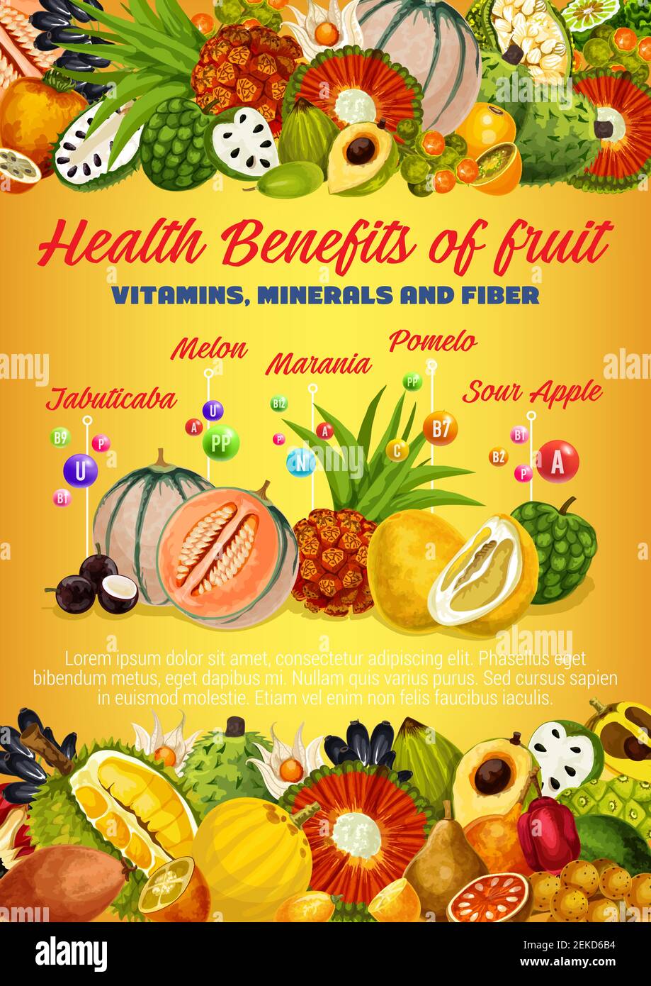 Vitamins, minerals and fiber of exotic fruits and berries vector design