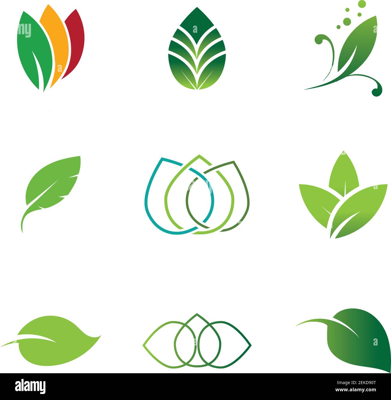 Leaves icon vector set isolated on white background. Various shapes of ...