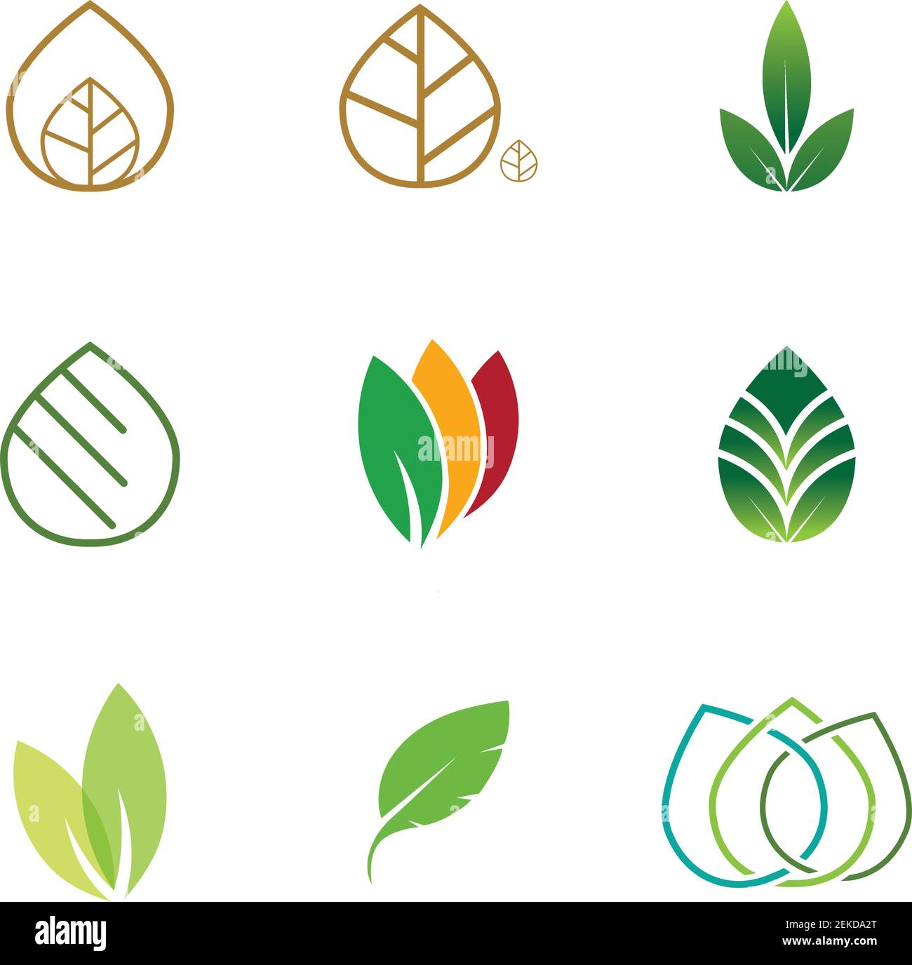 Leaves icon vector set isolated on white background. Various shapes of ...