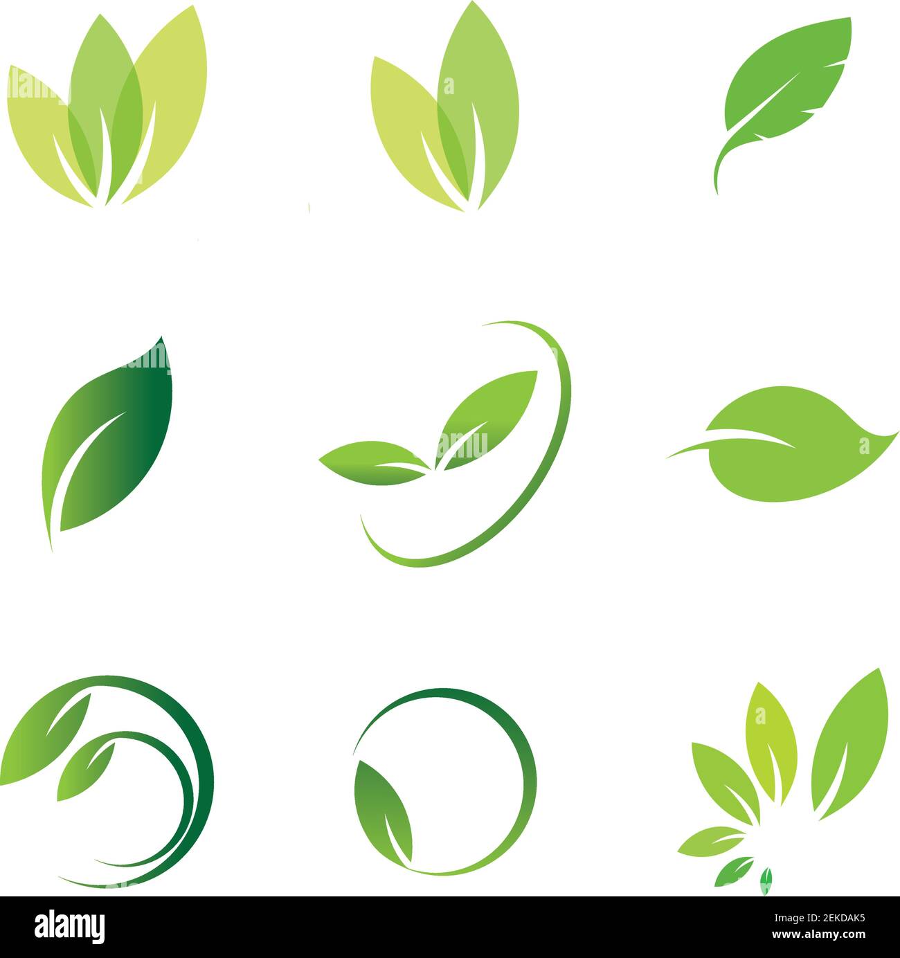 Leaves icon vector set isolated on white background. Various shapes of ...
