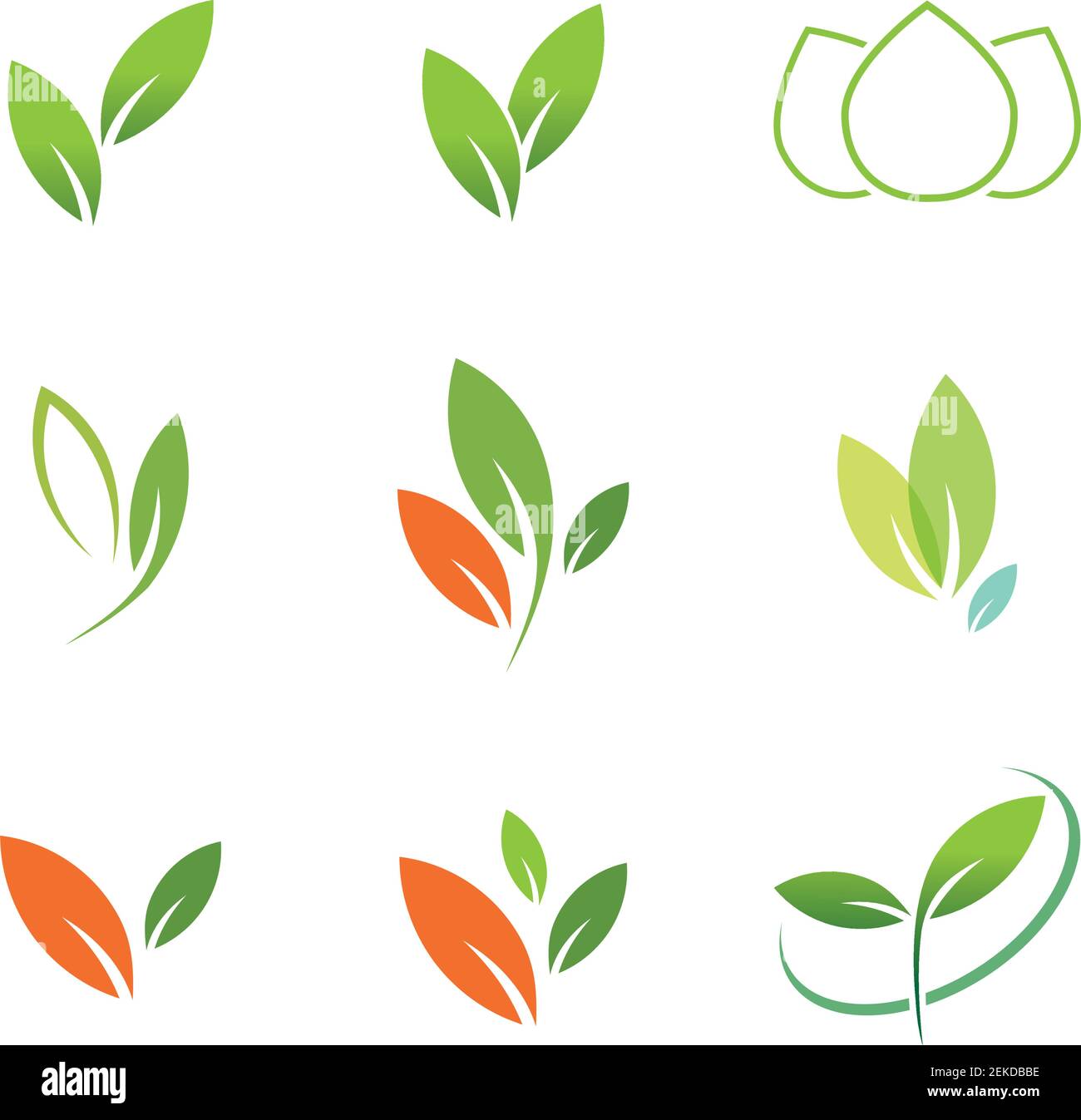 Leaves icon vector set isolated on white background. Various shapes of ...