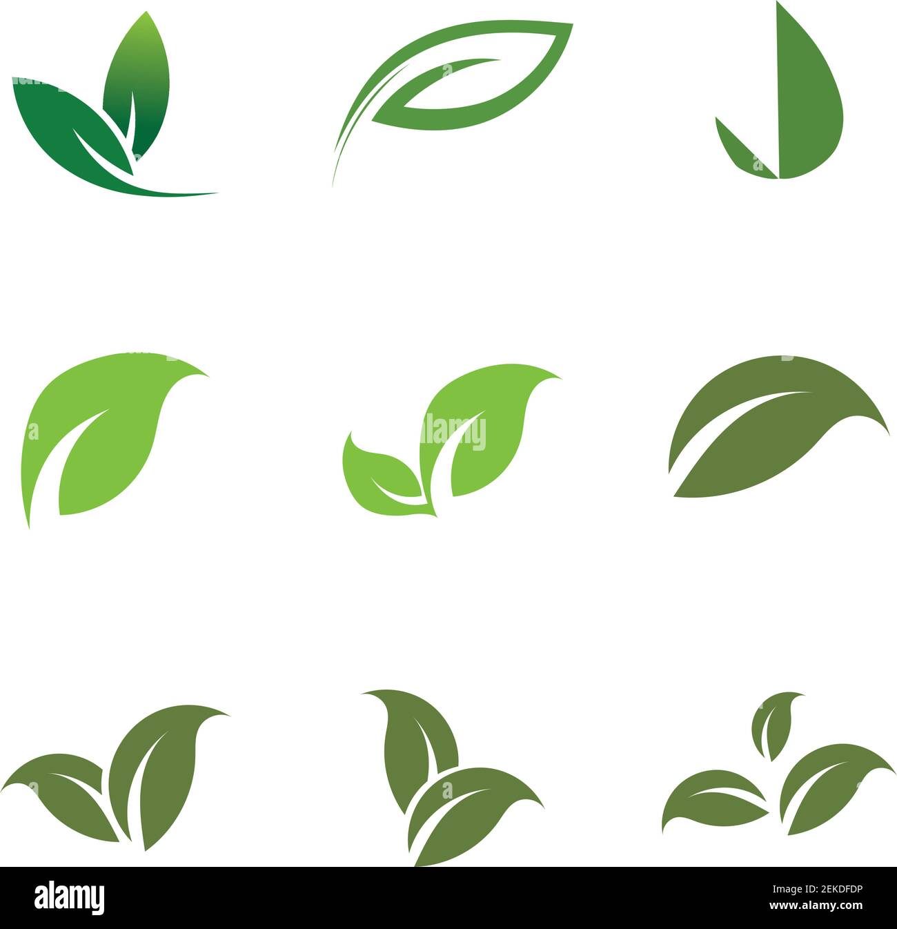 Leaves icon vector set isolated on white background. Various shapes of ...