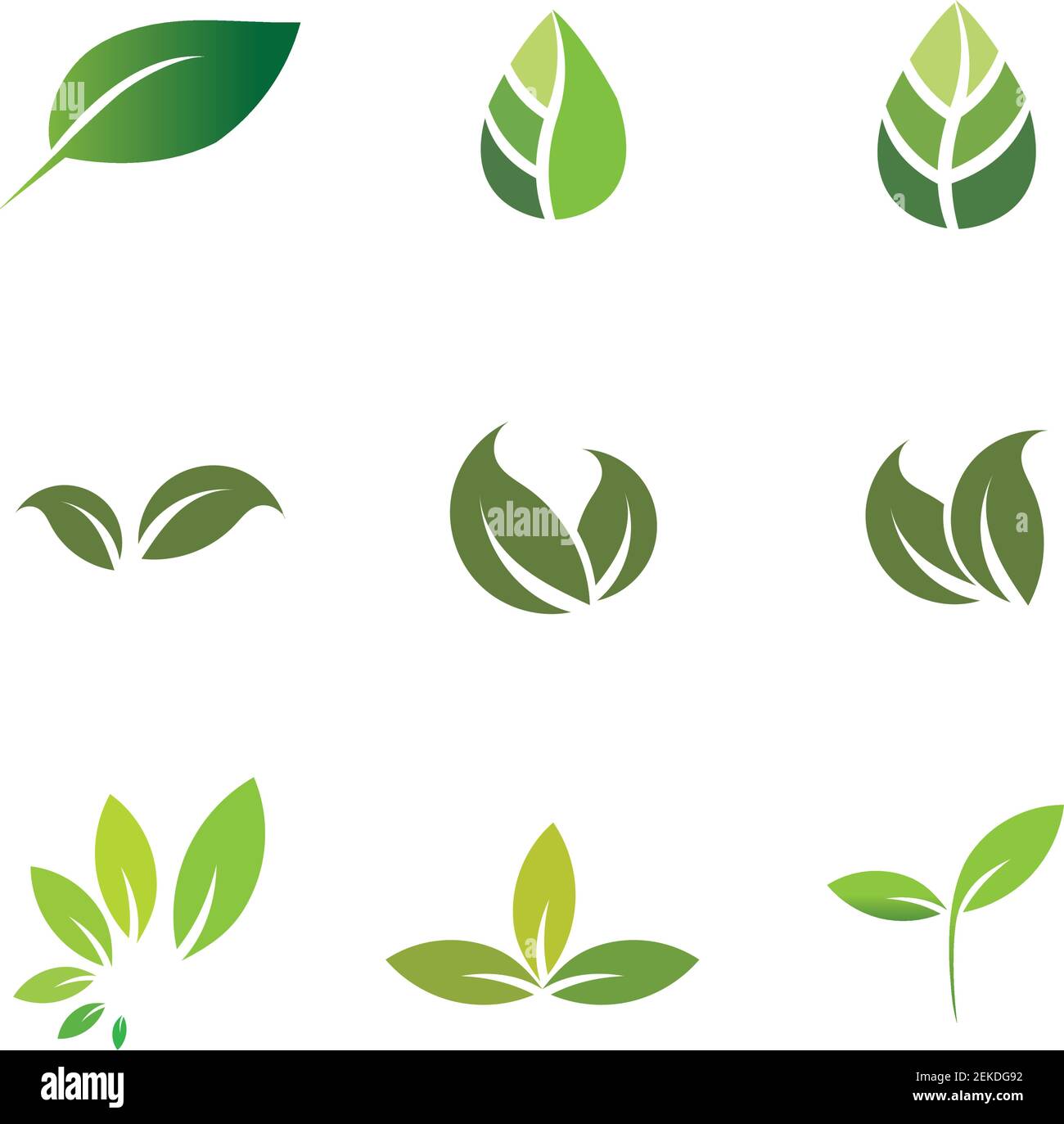Leaves icon vector set isolated on white background. Various shapes of ...