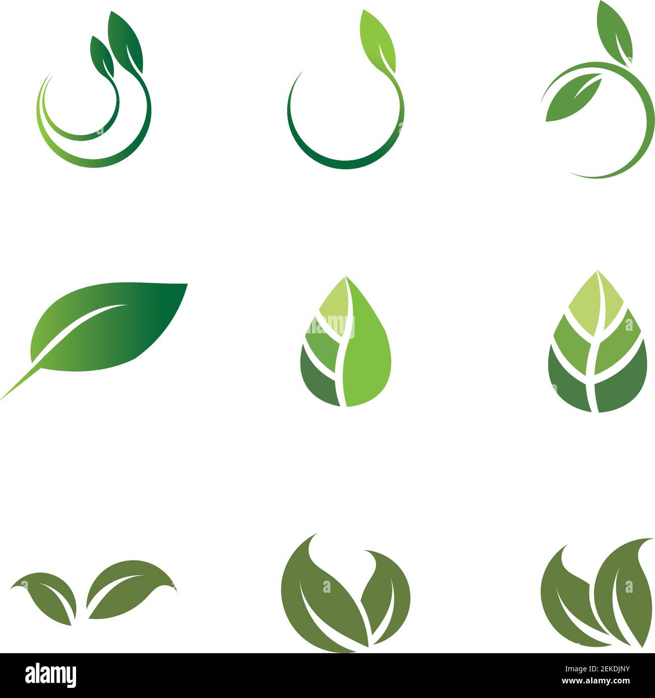 Leaves icon vector set isolated on white background. Various shapes of ...