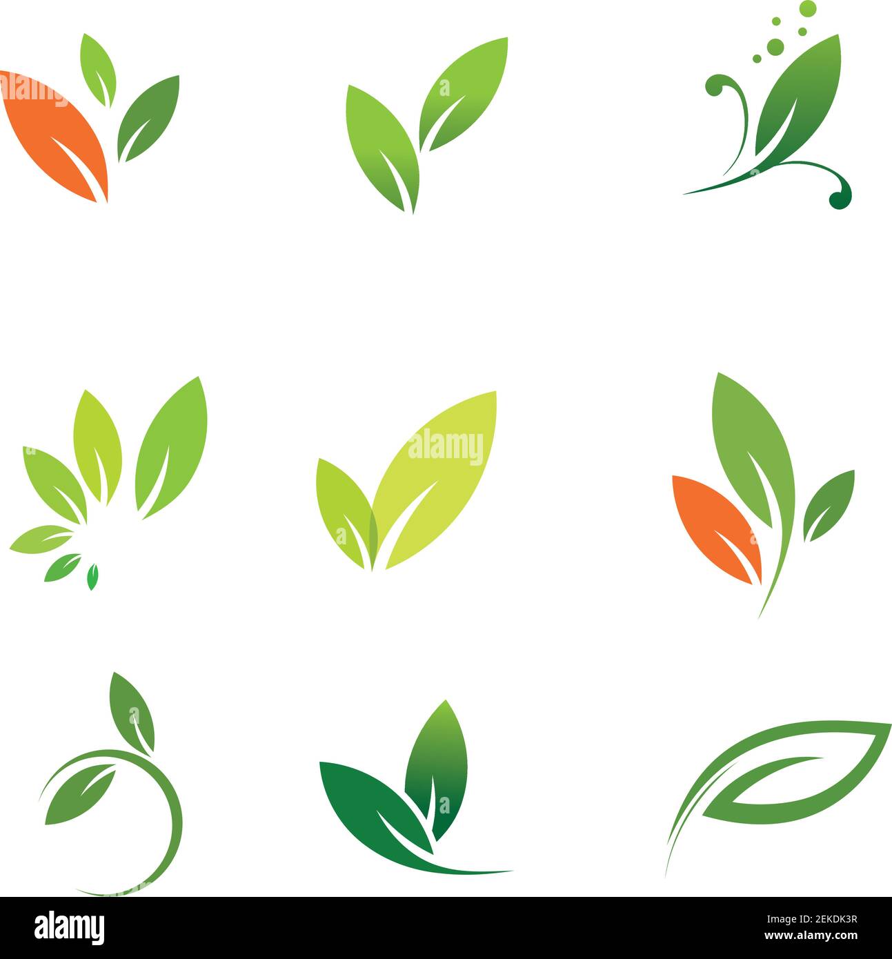 Leaves icon vector set isolated on white background. Various shapes of ...