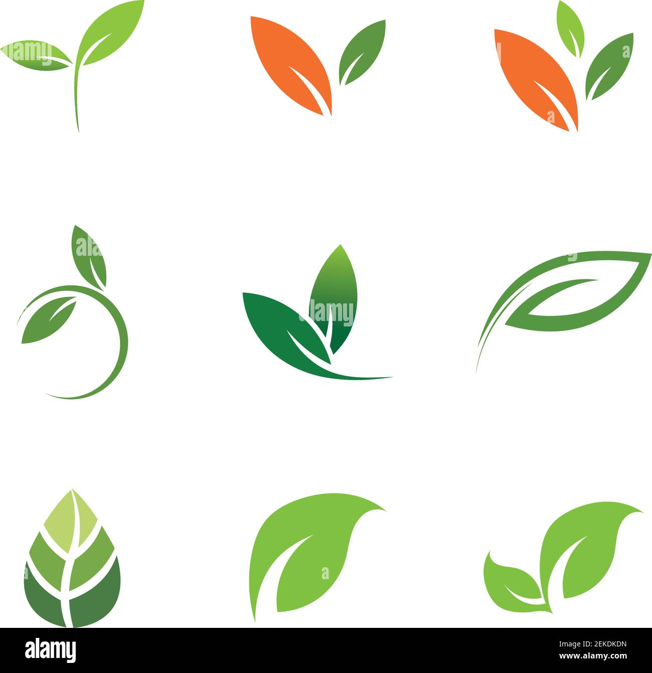 Leaves icon vector set isolated on white background. Various shapes of ...