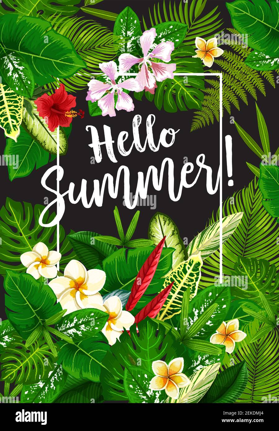 Hello Summer banner with frame of tropical palm leaves and flower.s ...