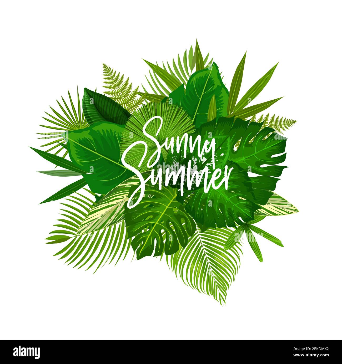 Exotic Sunny Summer poster with green leaves of tropical palm tree. Beach party invitation or summertime season holidays greeting card with monstera, Stock Vector