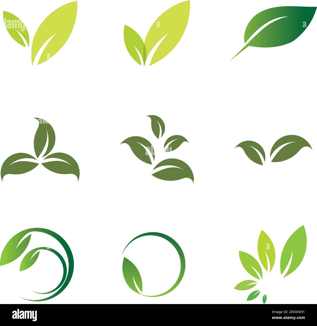 Leaves icon vector set isolated on white background. Various shapes of ...