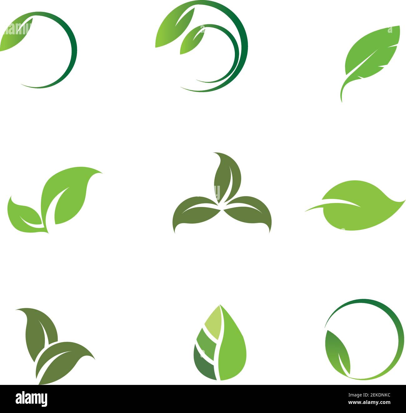 Leaves icon vector set isolated on white background. Various shapes of ...