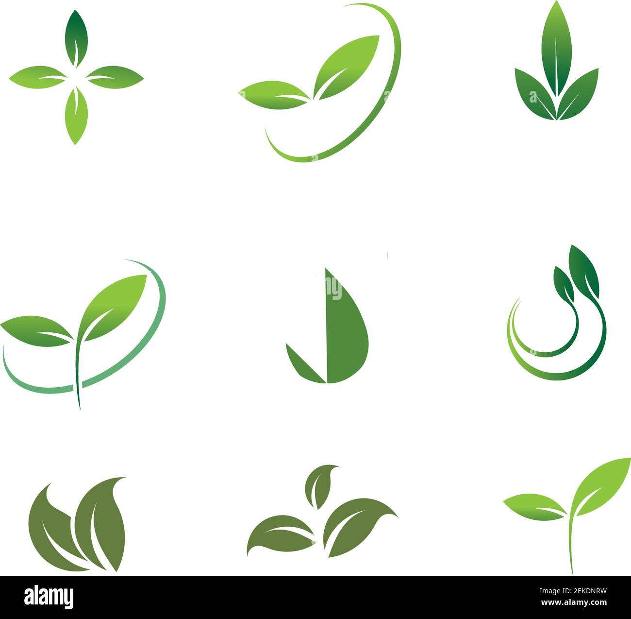 Leaves icon vector set isolated on white background. Various shapes of ...