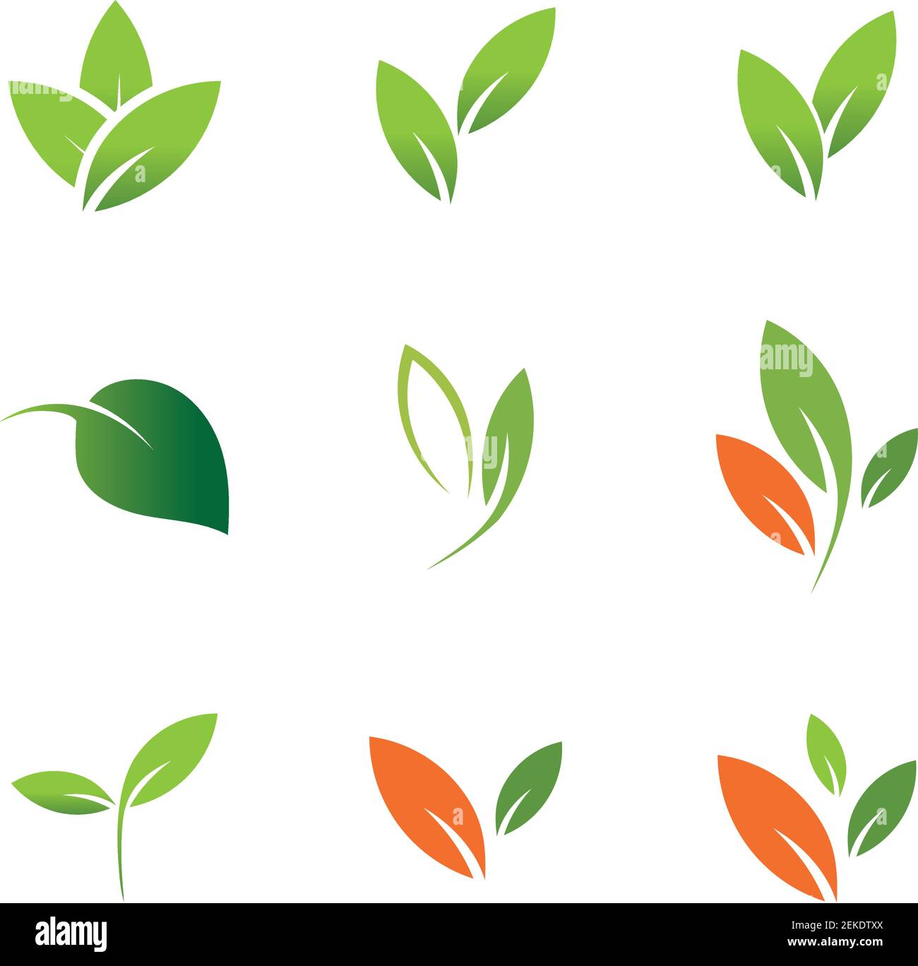 Leaves icon vector set isolated on white background. Various shapes of ...