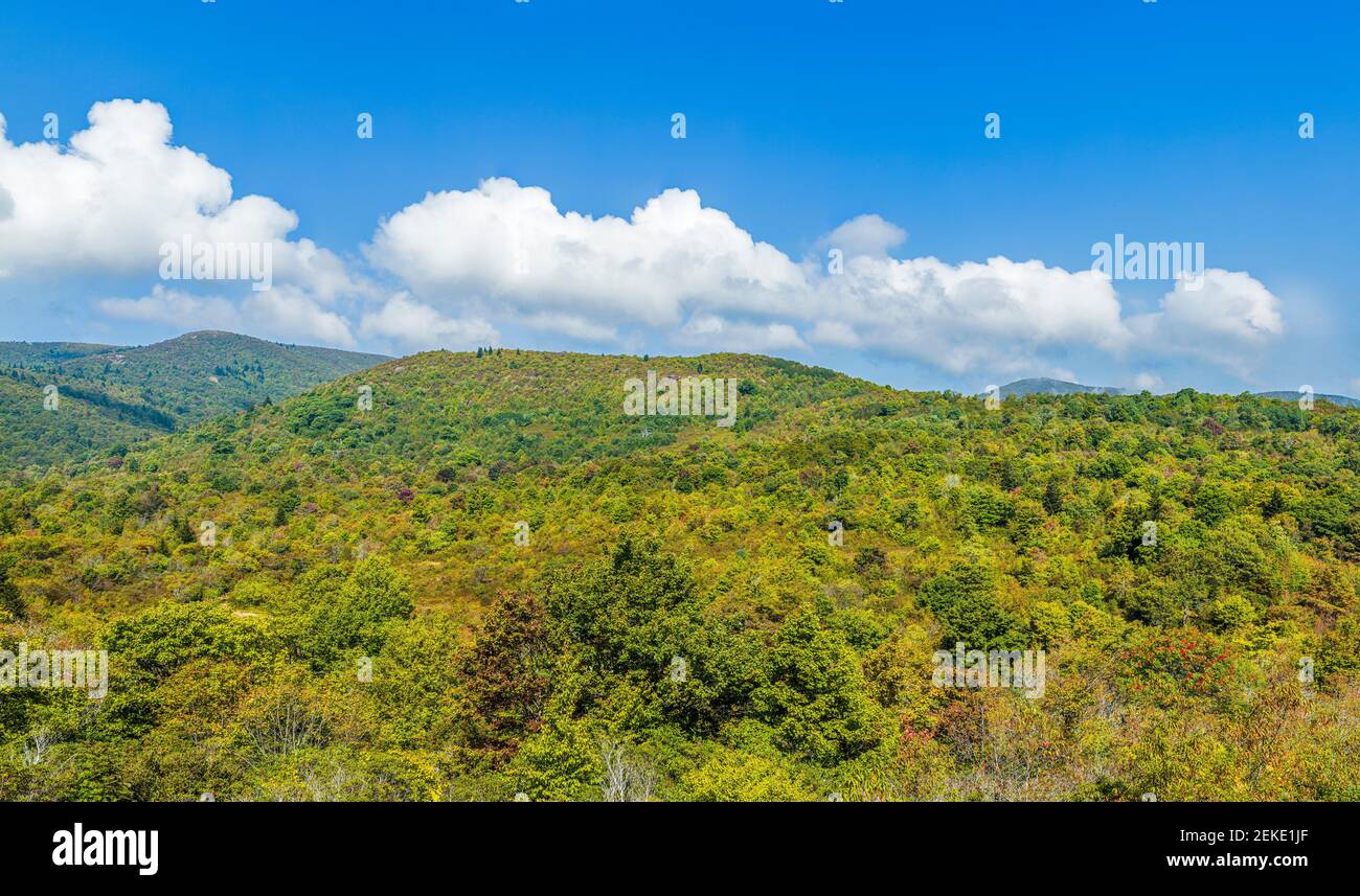 Forest covered vast mountain landscape seen from Blue Ridge Parkway in North Carolina, USA Stock Photo