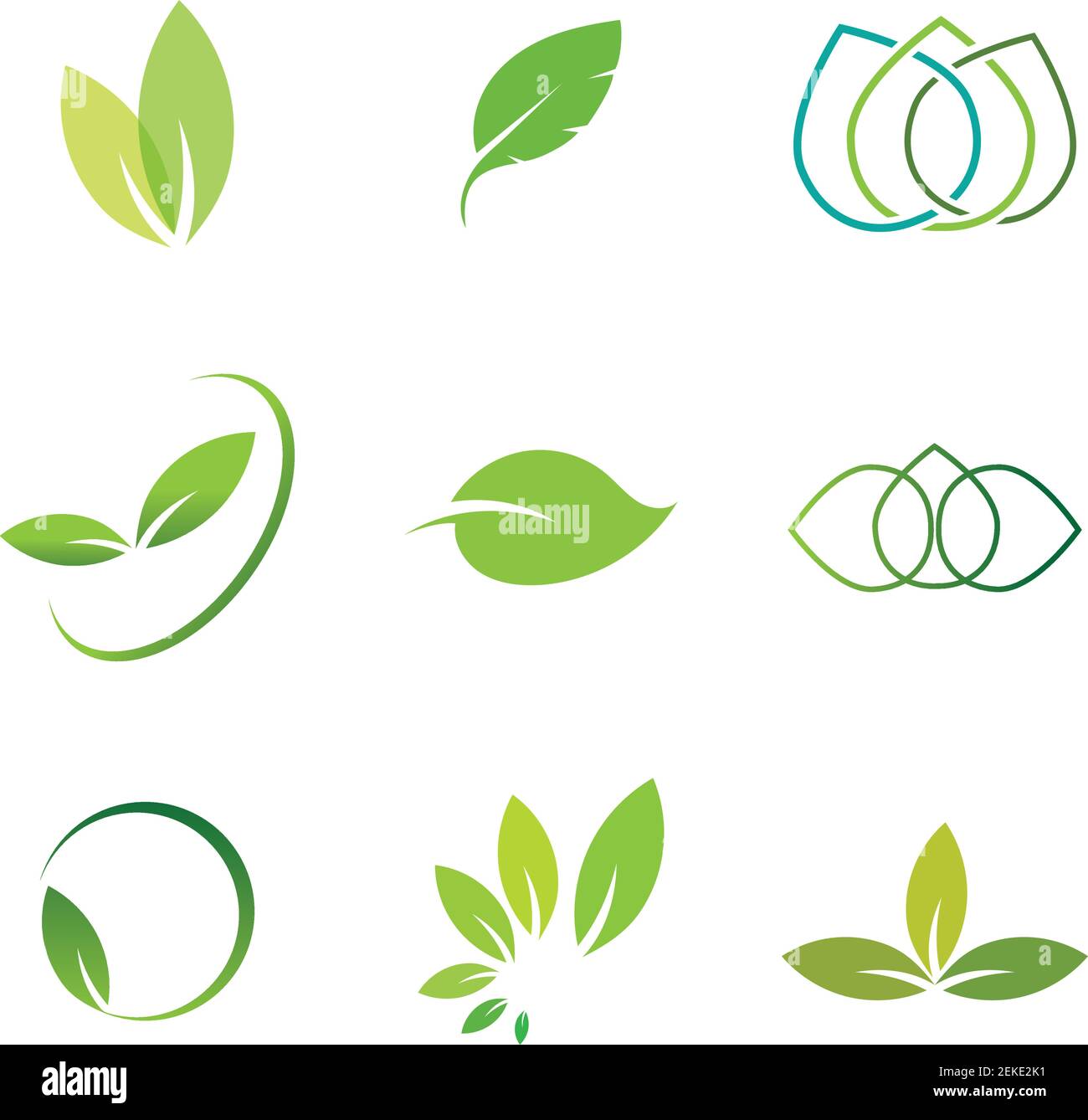 Leaves icon vector set isolated on white background. Various shapes of ...