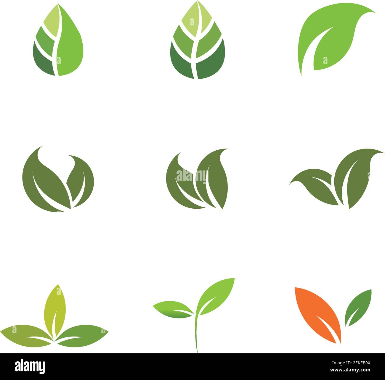 Leaves icon vector set isolated on white background. Various shapes of ...